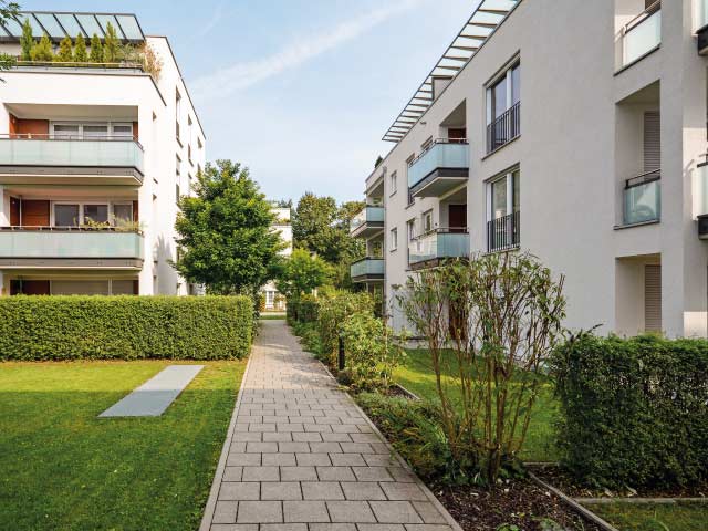 Entretien annuel du jardin